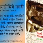 Introduction of Bhilli Culture review of Jija Soanwane book