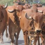 Prim Minister Narendr Modi Speech on Natural farming