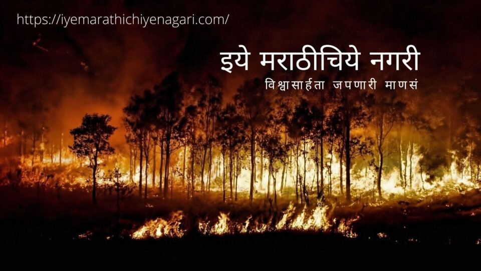 Conservation of Forest from Fire article by rajendra Ghorpade
