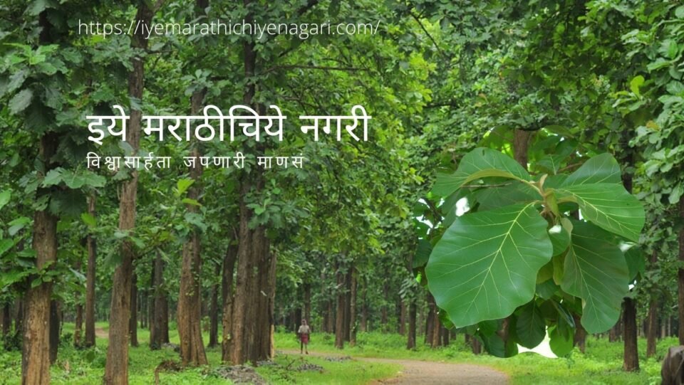 Teak wood tree article by dr V N shinde