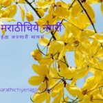 King of season Spring comming soon artcle by Nisha Nitin Salokhe