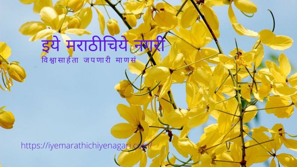 King of season Spring comming soon artcle by Nisha Nitin Salokhe