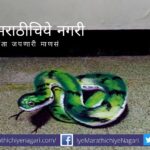 Three D Rangoli by Saloni Lokhande Jadhav
