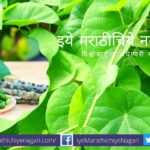 gulvel-medicinal-plant-not-posions-ayush-parlment says
