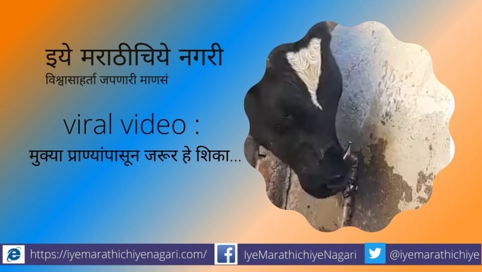 viral-video-learn-from-inocent-animals save water
