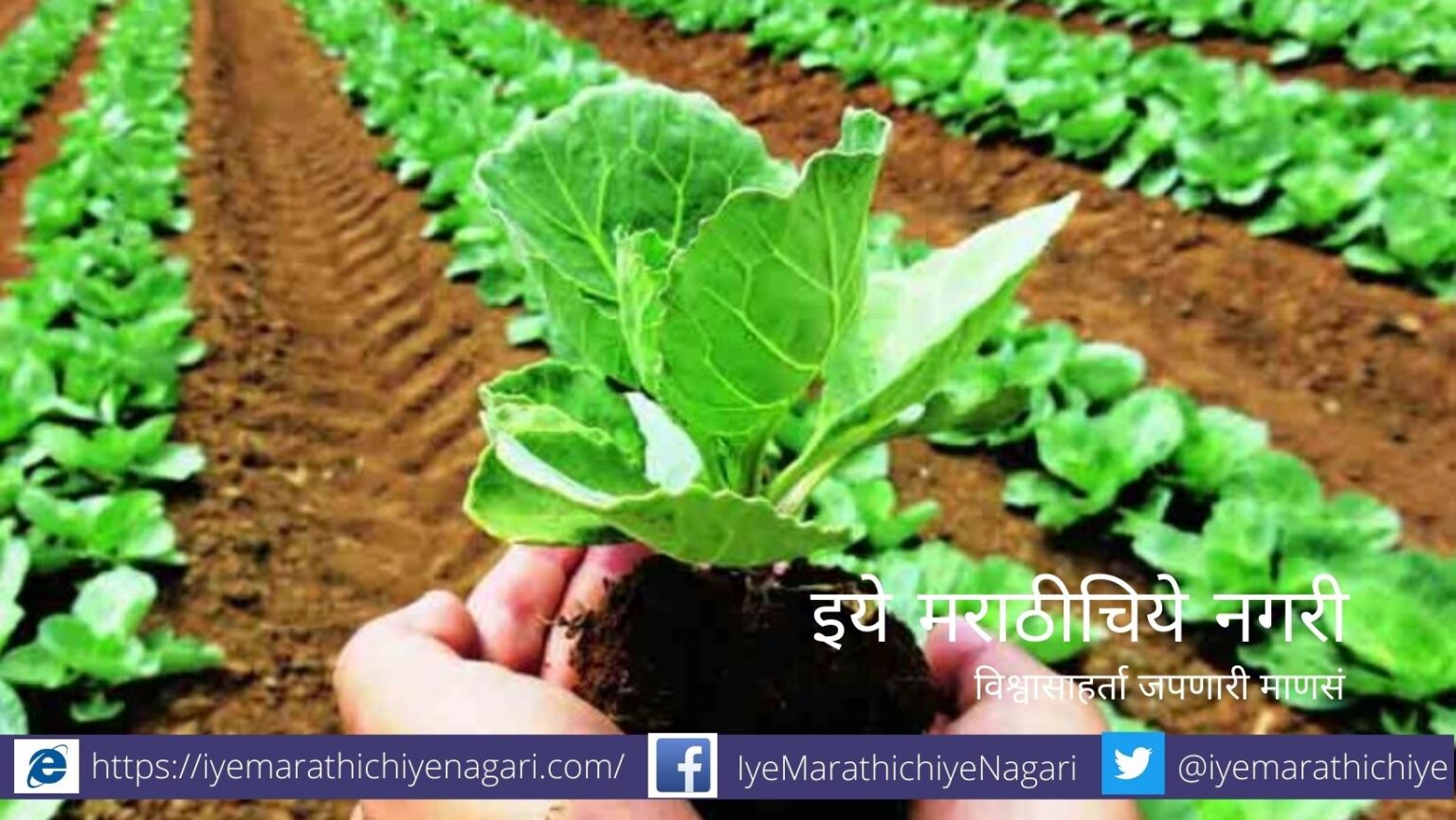 Agriculture Advice and Guideline for summer by Krushisamrpan