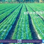 Agriculture advise for Summer season by Krushisamarpan Group