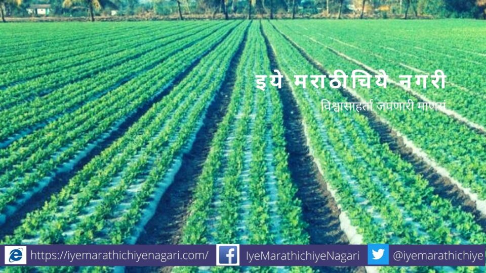 Agriculture advise for Summer season by Krushisamarpan Group