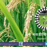 Gangadhar Muthe article on Farmers Producers Company