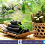 Khadi Village Industries Commission proposes to lift export ban on bamboo charcoal
