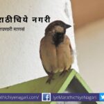 Needs of Sparrow Conservation Sharad Apte article