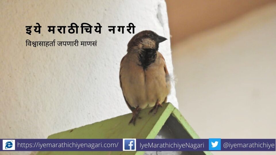 Needs of Sparrow Conservation Sharad Apte article