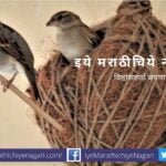 Sparrow Talk Viral Jokes