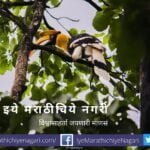 Behada Terminliya belirika tree article by Pratik More
