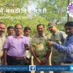 Conservation of Honey bee by placing honey net