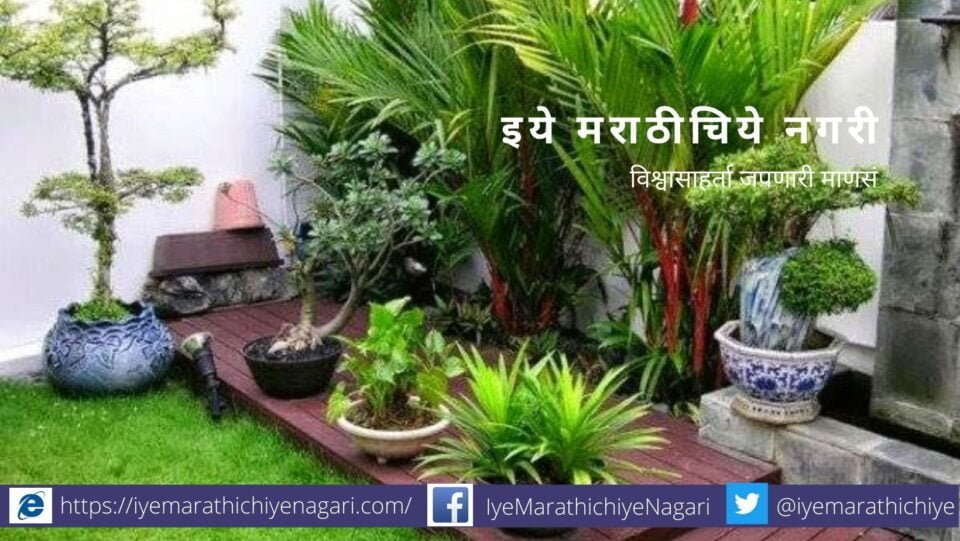 Garden palnt care in summer smita patil advice