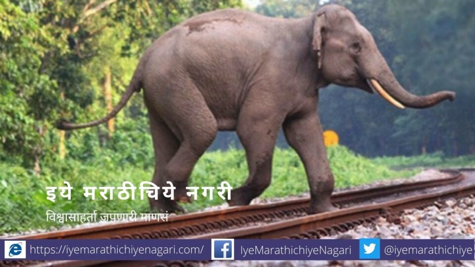 Goverment steps For the safety of animals living along the tracks