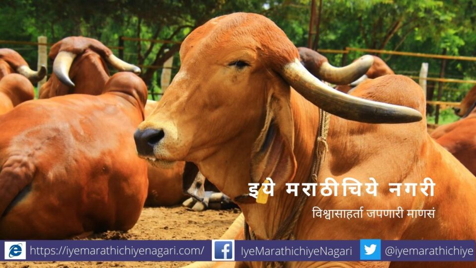 Reduction in Number of Livestock article by Rajendra Ghorpade