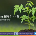 Medicinal Importace of Neem Tree article by Mohan waghmare