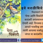 Pena aani chikoti salim mulla book review by nanadkumar more