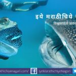 Plastic Found in Blood article by Dr V N Shinde