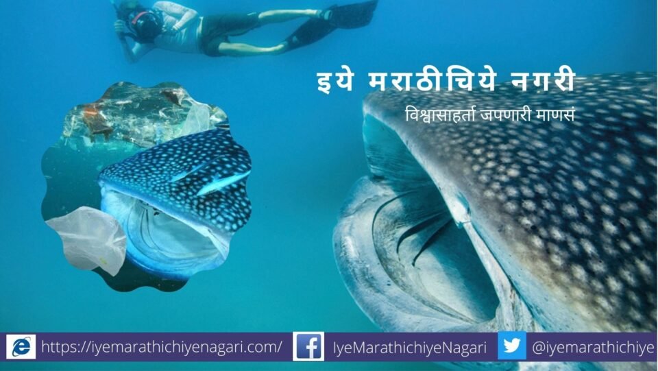 Plastic Found in Blood article by Dr V N Shinde