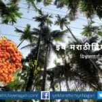 Attractive Smell article by J D Paradkar