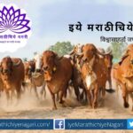 Need of Conservation of Deshi Cow article by rajendra ghorpade
