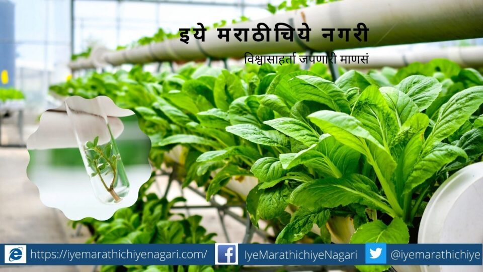 goverment encourage to export of Tissue culture plants