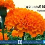 medicinal use of marigold flower