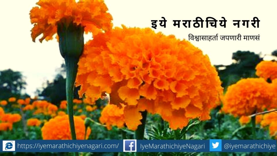 medicinal use of marigold flower