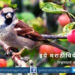 difference between bird and human psychology article by rajendra ghorpade