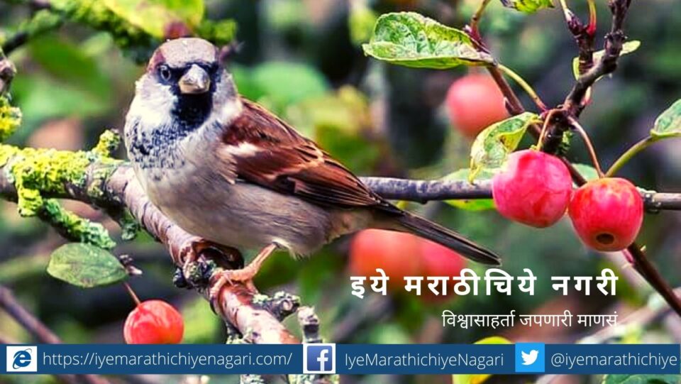 difference between bird and human psychology article by rajendra ghorpade