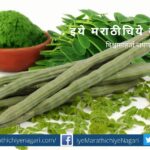 mansoon-and-importance-of-drumstick-vegetable-by-smita-patil