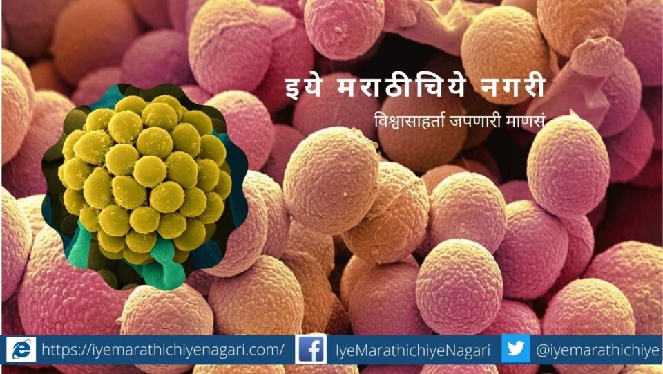 what-is-trichoderma-article-by-uttam-sahane