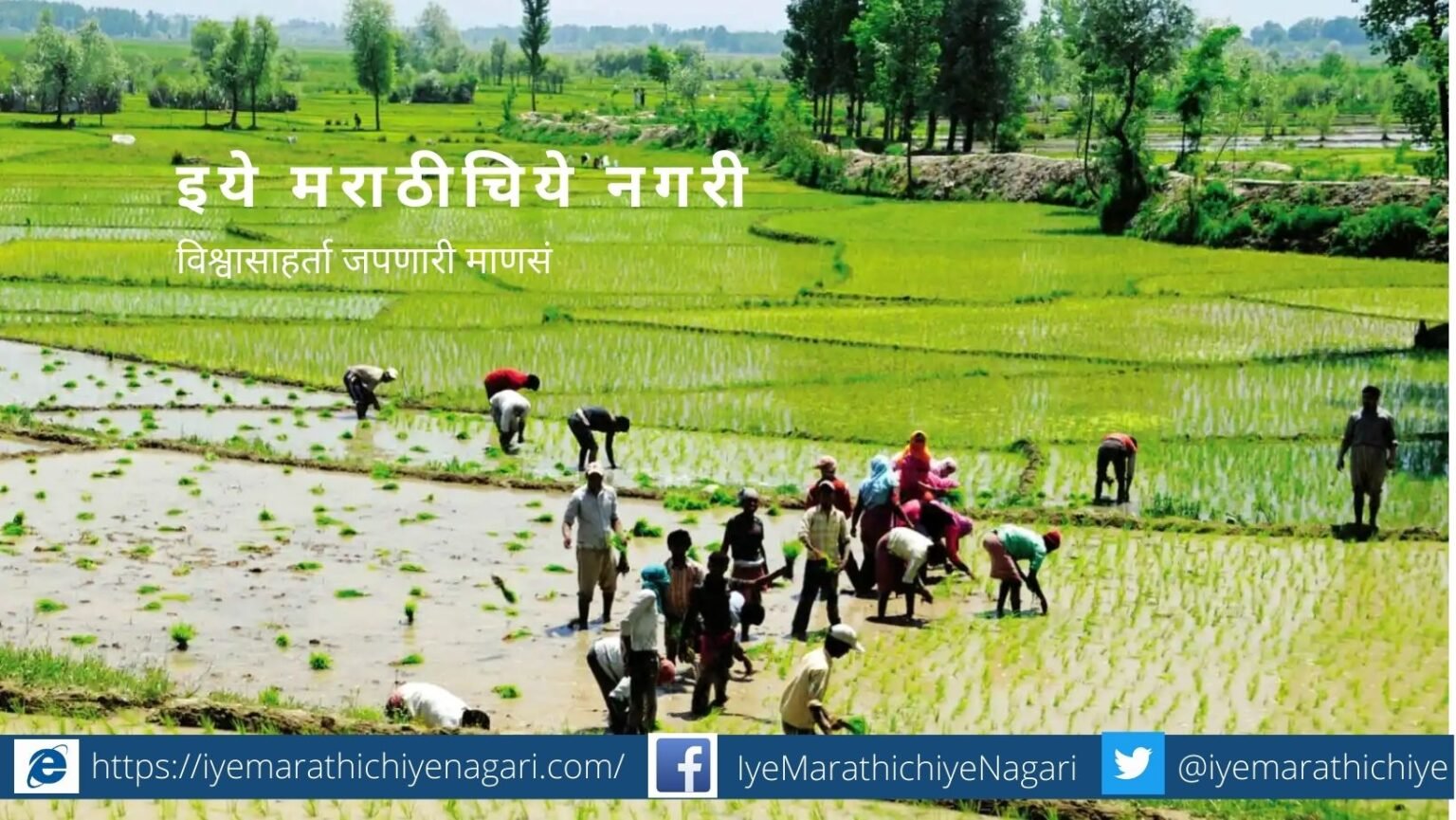 Importace of Agriculture in Economic Crises period