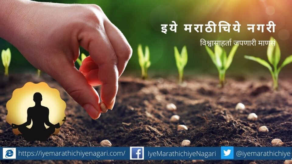 In order to get a good yield, sowing should be in the field