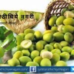 Neem seeds as pesticides article by rajendra ghorpade