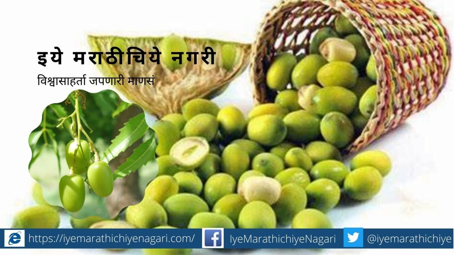 Neem seeds as pesticides article by rajendra ghorpade