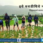 Paddy plantation programm by FC Student
