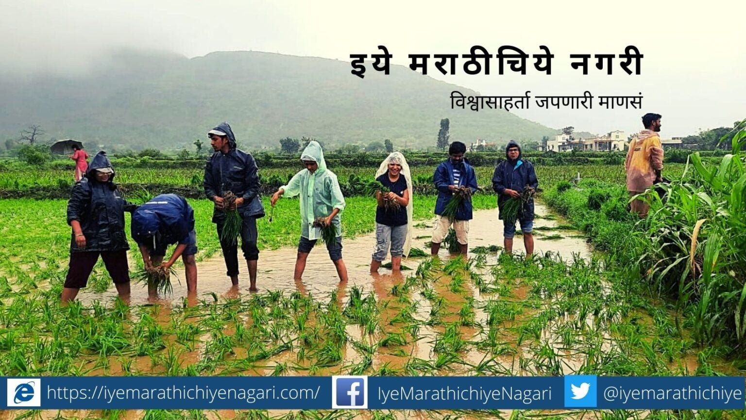 Paddy plantation programm by FC Student
