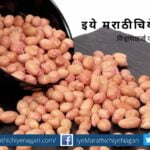 ground-nut infatuation short story by mira utpat tashi