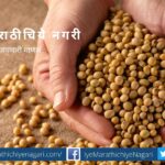 seed tratment with bio fertilizers article Milind Joshi