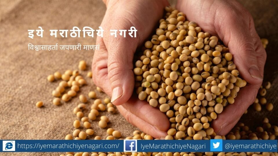 seed tratment with bio fertilizers article Milind Joshi