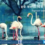 five more sites from India included in Ramsar spots