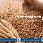Approval of proposal to amend export policy of wheat or meslin flour
