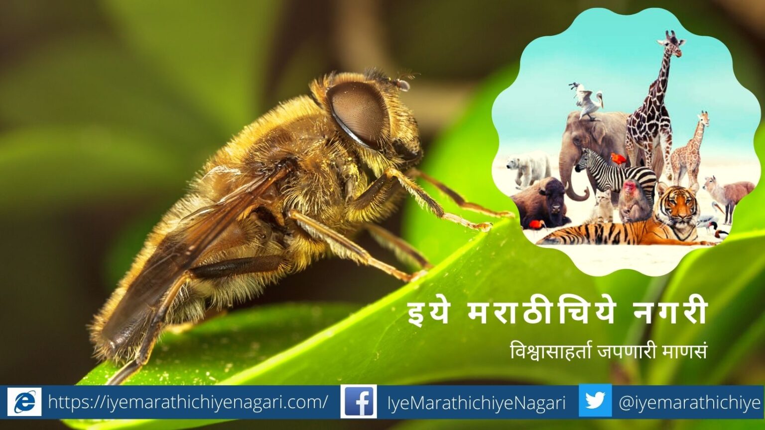Life cycle of animals and live things article by rajendra ghorpade