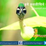 Morkharchudi plant in konkan article by J D Paradkar