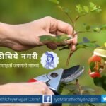 Need of pruning in plants tips by smita patil