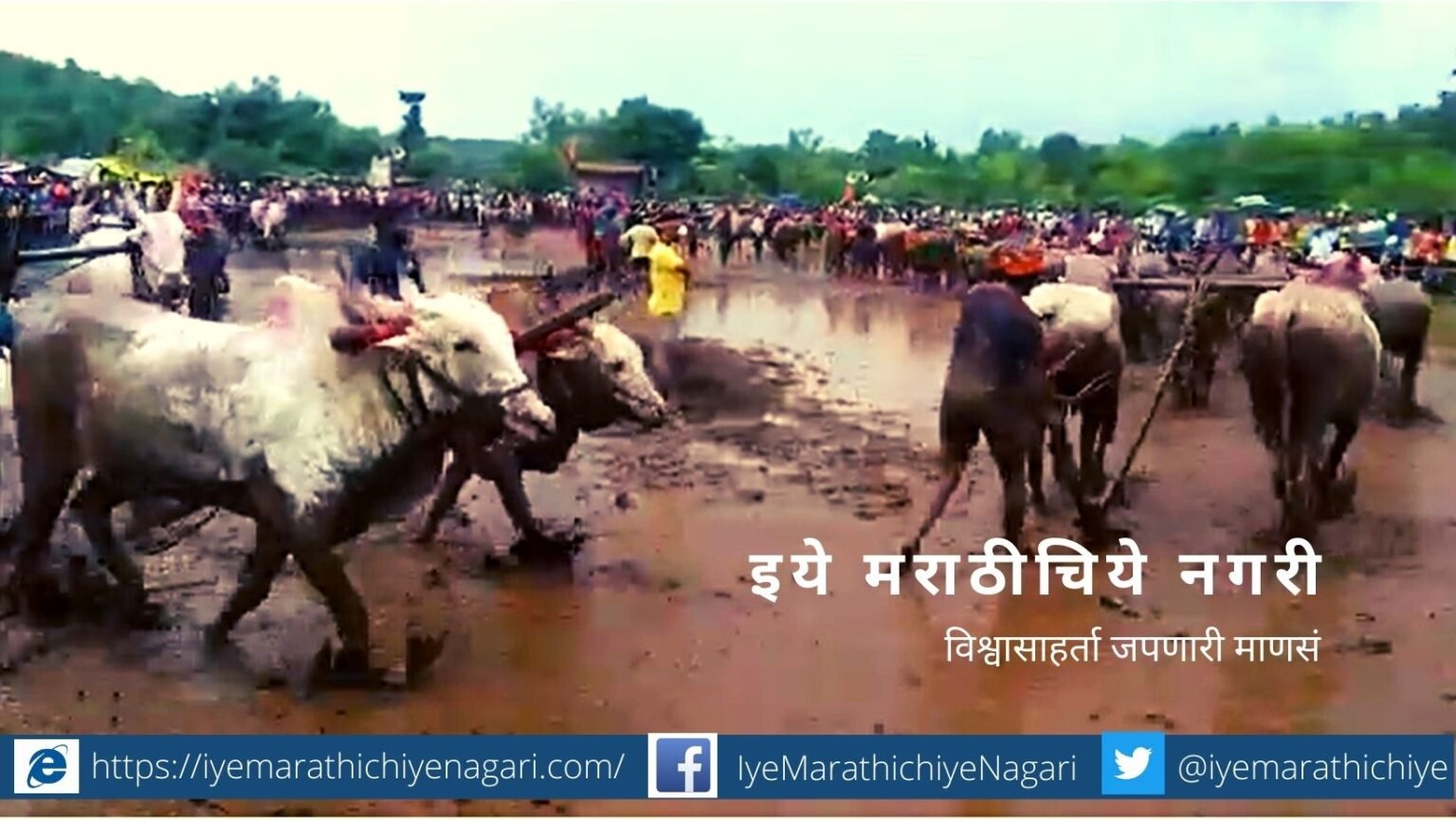 Ploughing Festival in Shiravali in Chiplun Taluka